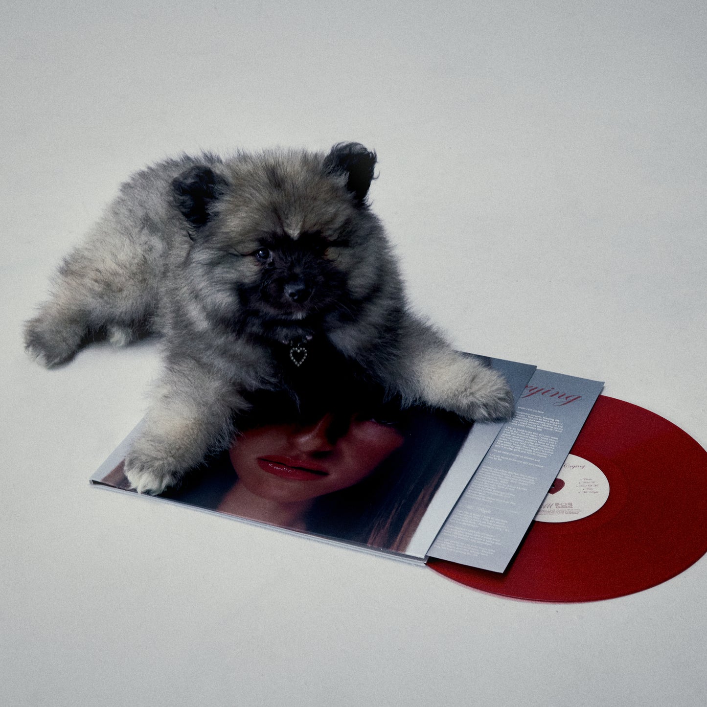 No, I'm Not Crying - Vinyle rouge