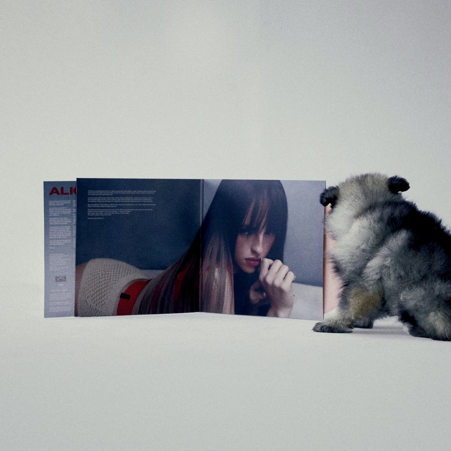 No, I'm Not Crying - Vinyle rose (exclusif à la tournée)