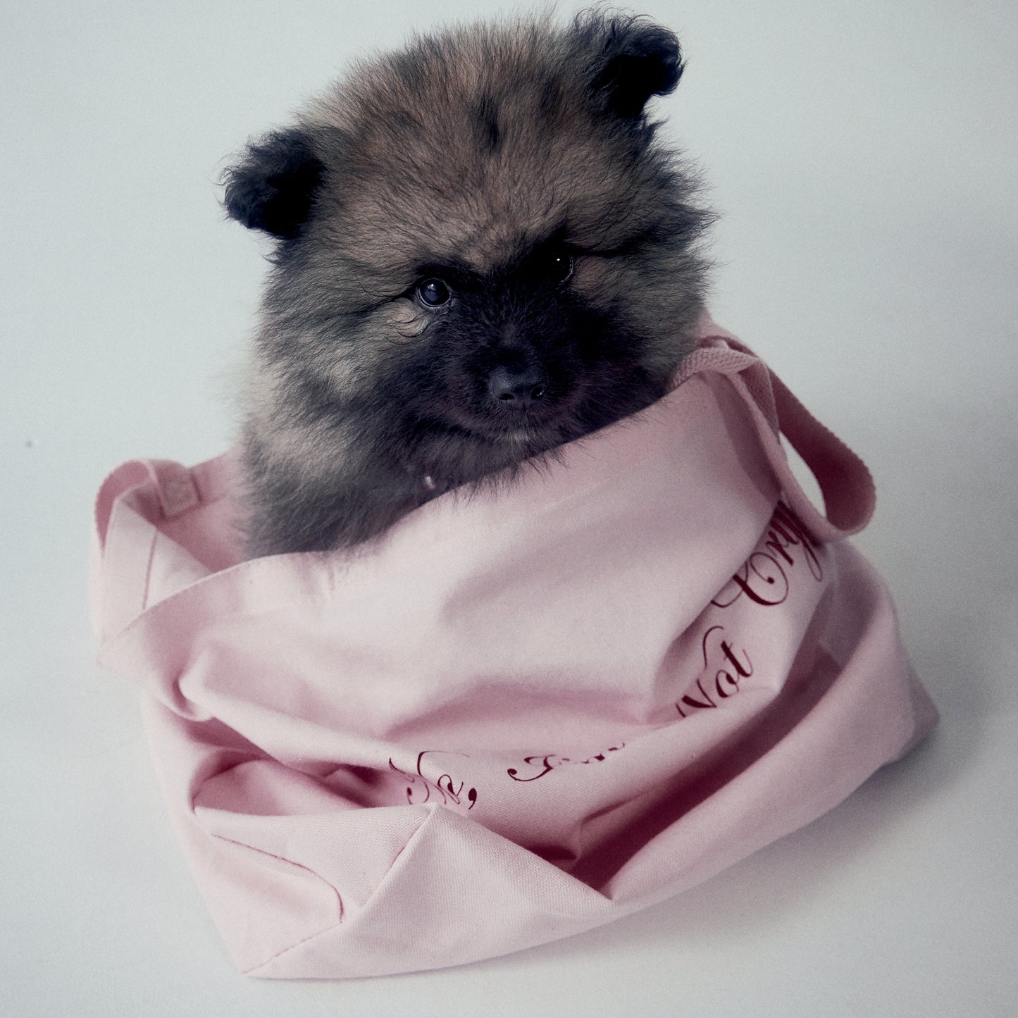 Tote No, I'm Not Crying